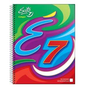 CUADERNO EXITO ECOLOGICO 21-27 COLEGIAL X 60 H RAYADA