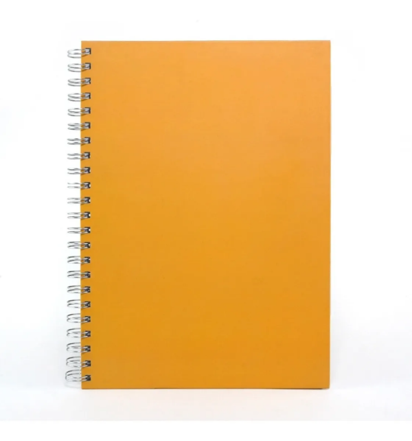 CUADERNO CARPETA A4 ALFA UNIVERSITARIO T-D RAYADO Y CUADRULULADO