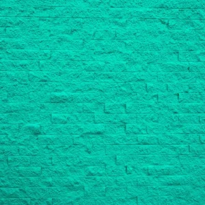 CARTULINA COLOR