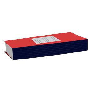 LIBRO RAB CONTROL ASISTENCIA PERSONAL