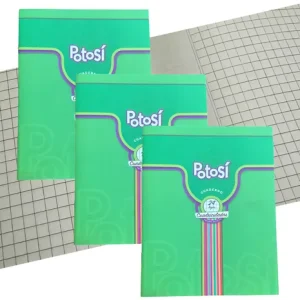 CUADERNOS X 24 HJS T-F POTOSI CUADRICULADO