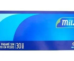TALONARIO PAGARES X 30 HJS 1028