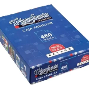 REPUESTO TRIUNFANTE X 480 HJS