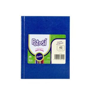CUADERNOS X 42HJS T-D POTOSI LISO