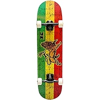 SKATE CLASICO