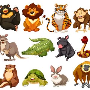 ANIMALES SELVA