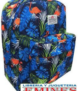 MOCHILA ME IMTERNACIONAL ACONCAGUA VARIOS MOTIVOS